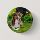 Recherche de animaux de photo badges Dog