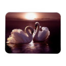 Recherche de forme de coeur magnets Beau