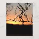 Recherche de coucher du soleil prospectus Photographie