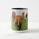 Recherche de poney shetland tasses Ferme