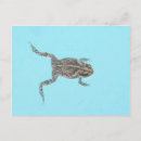 Recherche de grenouille bleue cartes postales Amphibien