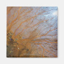 Recherche de ventilateur magnets Animaux