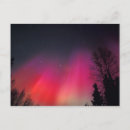 Recherche de étoile du nord cartes postales Rose