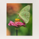 Recherche de grand papillon puzzles Pour tous