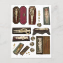 Recherche de anatomique cartes postales Biologie