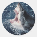 Recherche de grand format autocollants Image couleur