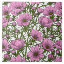 Recherche de cosmos carreaux Nature