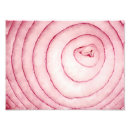 Recherche de oignon rouge posters Macro
