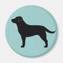 Recherche de extracteur magnets Labrador
