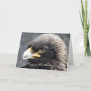 Recherche de aigles vœux cartes Animaux