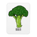 Recherche de brocoli magnets Vert