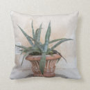 Recherche de agave coussins Cactus