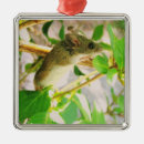 Recherche de souris ornements Rongeur