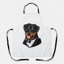 Recherche de chien rottweiler tabliers Amoureux des chiens