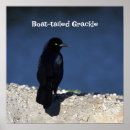 Recherche de bateau de fus art Faune