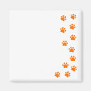 Recherche de chien de border collie magnets Frontière