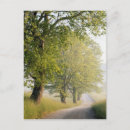 Recherche de fumée cartes postales Arbre