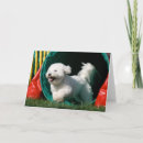 Recherche de agility vœux cartes Dog