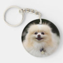 Recherche de spitz porteclés Chien