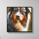 Recherche de bergers australiens posters Canin