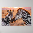 Recherche de animaux de safari posters Amour