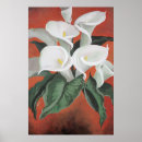 Recherche de lillies de pâques Mensonge