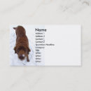 Recherche de chocolat labrador cartes visite Chien