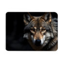 Recherche de loup magnets Animaux