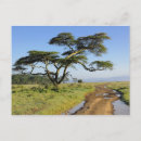 Recherche de primitif cartes postales Paysage