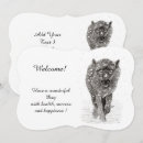 Recherche de loup sauvage invitations Faune