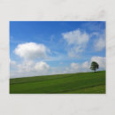 Recherche de arbre solitaire cartes postales Paysage