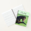 Recherche de poney carnets Équin
