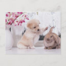 Recherche de oreilles de lapin cartes postales Animal