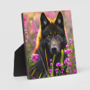 Recherche de rose noir plaques Nature