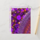 Recherche de jardins zen cartes postales Asiatique