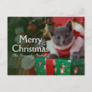 Recherche de chat bleu russe vœux cartes Photographie