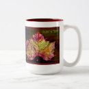 Recherche de automne feuille tasses Arbres