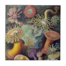 Recherche de geek carreaux Rétro