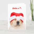 Recherche de yellow lab christmas vœux cartes Drôle