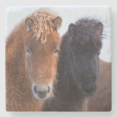 Recherche de cheval islandais dessous de verres Froid