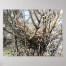 Recherche de nid posters Pour elle