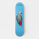 Recherche de perroquet skateboards Oiseau