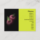 Recherche de pommes rouges cartes visite Pour tous