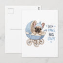 Recherche de chiots mignons cartes postales Bouledogue français