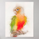 Recherche de perroquet vert posters Oiseau