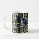Recherche de oiseaux bleus orientaux tasses Pour tous
