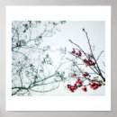 Recherche de de cerise posters Sakura