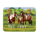 Recherche de beaux magnets Cheval