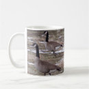 Recherche de oie du canada tasses Sauvage