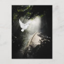 Recherche de colombe volante cartes postales Amour